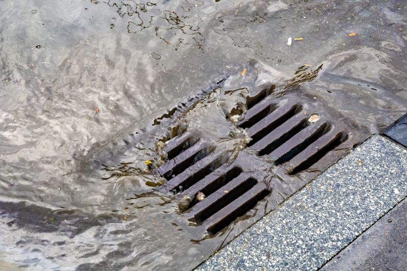 Drain Cleaning and Maintenance